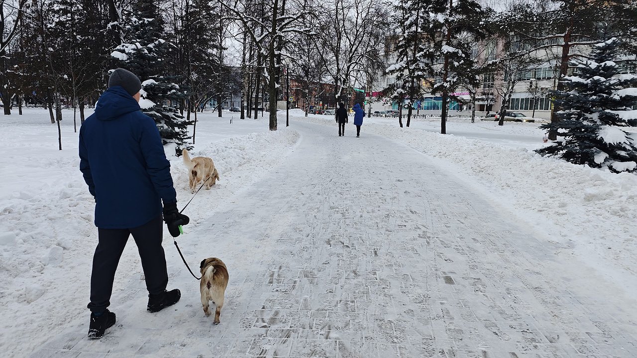 Главная картинка новости: Как вести себя с людьми, которые вас ненавидят: запомните раз и на всю жизнь