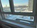 Из окон не дует даже в лютую стужу: этот предмет на подоконнике блокирует сквозняки и источает ароматы леса