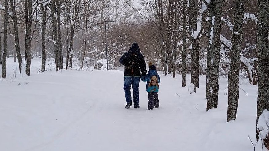 Главная картинка новости: В Кировской области многодетный отец остался без родительских прав после махинаций с работой