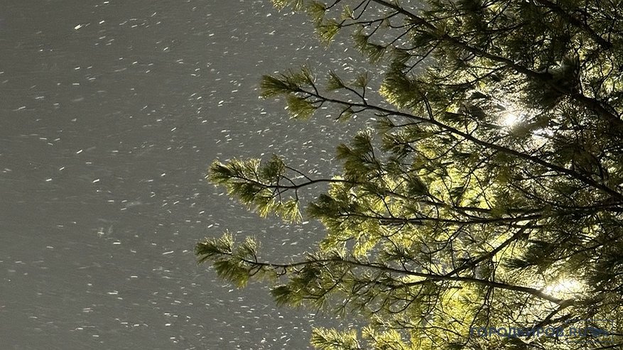 Главная картинка новости: Вечером на Рождество Киров засыплет снегом