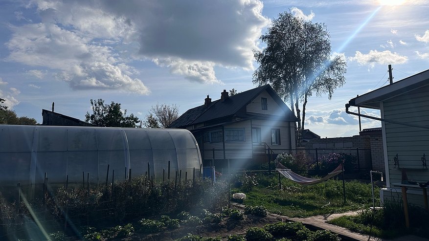 Главная картинка новости: Красиво только в рекламе: эти покупки для дачи и огорода обходятся дороже ремонта. Вжух - и минус 100 000 на карте