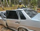 Под Кировом дерево раздавило автомобиль с человеком внутри