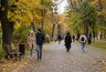 Осень 2026 в России может удивить температурой: в каких регионах ждут аномальное тепло