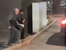 Задержание Васильева, гибель фитнес-тренера и новые происшествия с медведями: что читали в Кирове за неделю