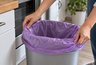 Мусорное ведро чистое, а запах никуда не уходит: копеечное средство из аптечки — и проблема решена