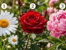 Молоды душой или мудры не по годам? Пройдите тест с тремя цветами