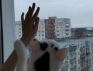 "Топят как в морозы": кировчане заявляют о невыносимой жаре в квартирах
