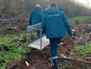 В Кирово-Чепецке ловят вышедшую к детским садам лису