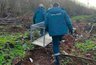 В Кирово-Чепецке ловят вышедшую к детским садам лису