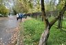 Жители Кирова просят запретить вейпы