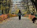 Новую волну тепла в октябре обещают кировчанам
