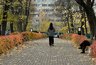 Новую волну тепла в октябре обещают кировчанам