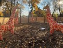 В парке «Аполло» в Кирове ремонтируют знаменитых жирафов