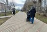 Кировские папы массово уходят в декрет