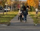 Вести ли детей в школу при угрозе БВС