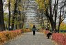 Киров три дня подряд бил температурные рекорды