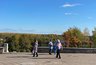 В Костроме открыли смотровую площадку у сосны-долгожителя