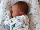 Кировскую девочку назвали редким именем аристократов