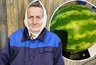В Кирове бабушка Галина Вагина выращивает арбузы