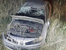 После ДТП с медведем водитель Рено вылетел с дороги