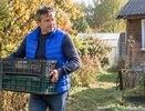 Пластиковые ящики складываю в погребе «сотами»: каждый овощ на своём месте — урожай хранится до весны