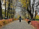 Антициклон Герхард устроит в Кирове температурные качели в 15 градусов