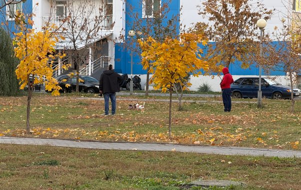 В Юрье собака погрызла ребенка