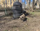 Кировчанин потерял полмиллиона рублей при покупке шин через интернет