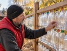 Пластиковые бутылки собираю по соседям: собираю забор как Лего за 1 день — никаких досок, гнили и ржавчины