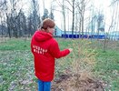 Народный фронт проверил ремонт парка Победы за 35 миллионов