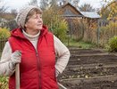 Опытные дачники не сидят без дела осенью: 7 хитростей для участка — весной сэкономят время и силы