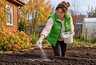 Картошку собираю вёдрами: сыплю осенью 1 стакан в почву — и на следующий год радуюсь обильному урожаю