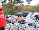 Свалка у ТЭЦ-5 в Кирове разрослась до критических размеров