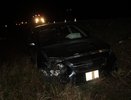 Второе ДТП с медведем случилось в Кировской области