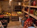 Три листа — и мыши обходят погреб стороной: простой способ защитить урожай без химии и ловушек
