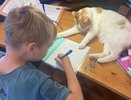 Уставшие родители из Кирова выступили против "Евгения Онегина" во втором классе