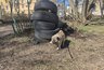 Старые покрышки не отправляю на свалку: 7 идей, после которых двор не узнать