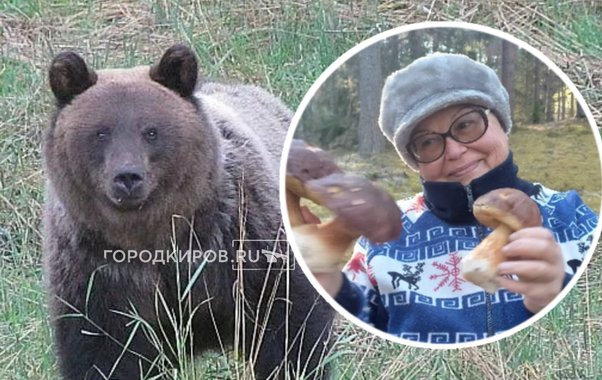 "Я обомлела. Там внуки!": эти кировчане встретились с медведями и выжили