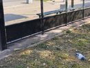 Птицы погибают на остановке в Нововятске