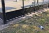 Птицы погибают на остановке в Нововятске
