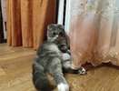 Шторы – это уже прошлый век: чем закрыть окна в 2026, чтобы прохожие с улицы вас не видели - 6 отличных вариантов