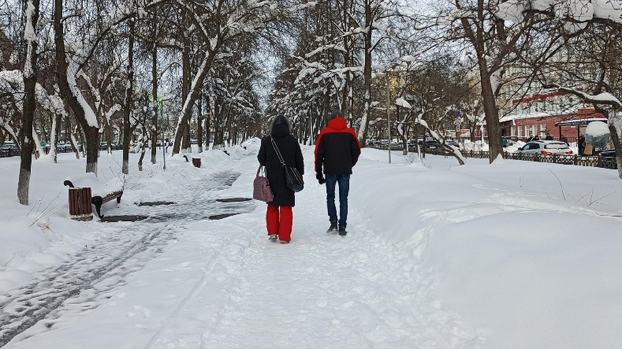 Главная картинка новости: Киров накроет волной тепла: когда столбик термометра подскочит вверх