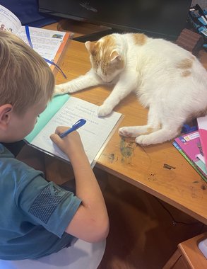 Домашку для детей кировчан хотят отменить