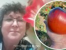 Огородник из Кирова вырастила триста сортов томатов: "Я спасаю урожай от гибели"