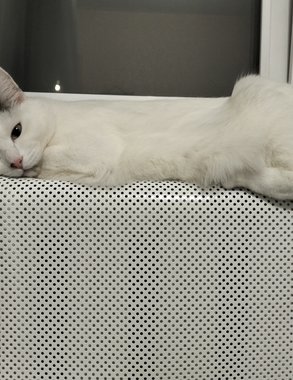 Чиновники рассказали, когда отключат отопление в Кировской области