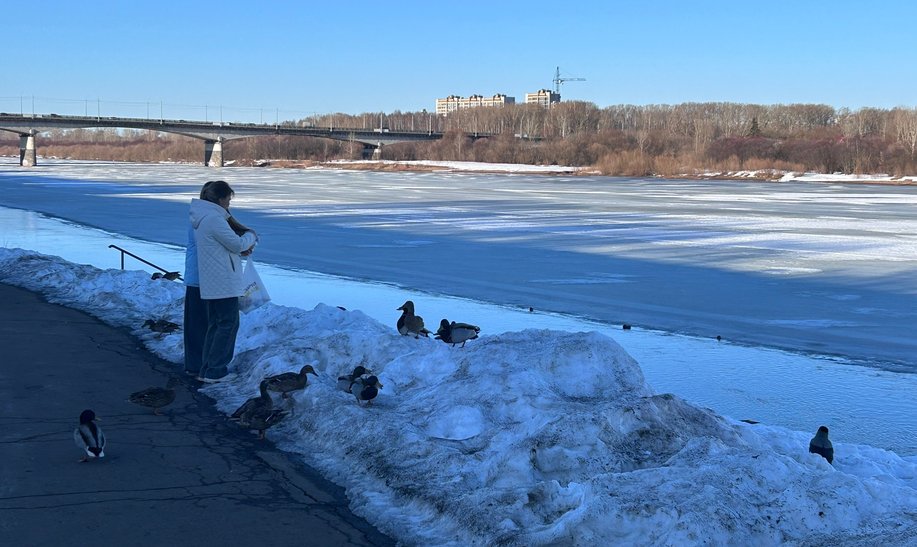 Главы районов Кировской области назвали зоны возможных подтоплений