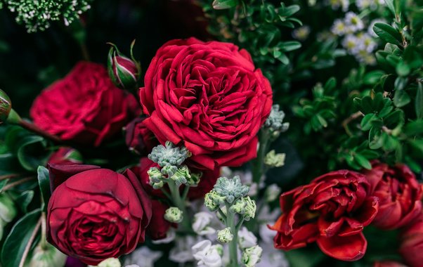 За букетами к празднику – в «Глобус»