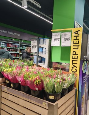 Кировчанки ответили пожалевшим денег на цветы к 8 марта мужчинам