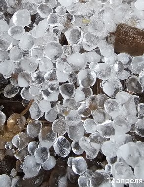 В Кировской области выпал град