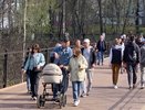 В Киров резко ворвется 20-градусная жара